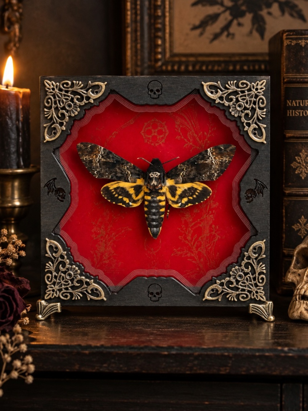 Gothic Moth Shadow Box, Preserved Specimen with Skull and Bat Details